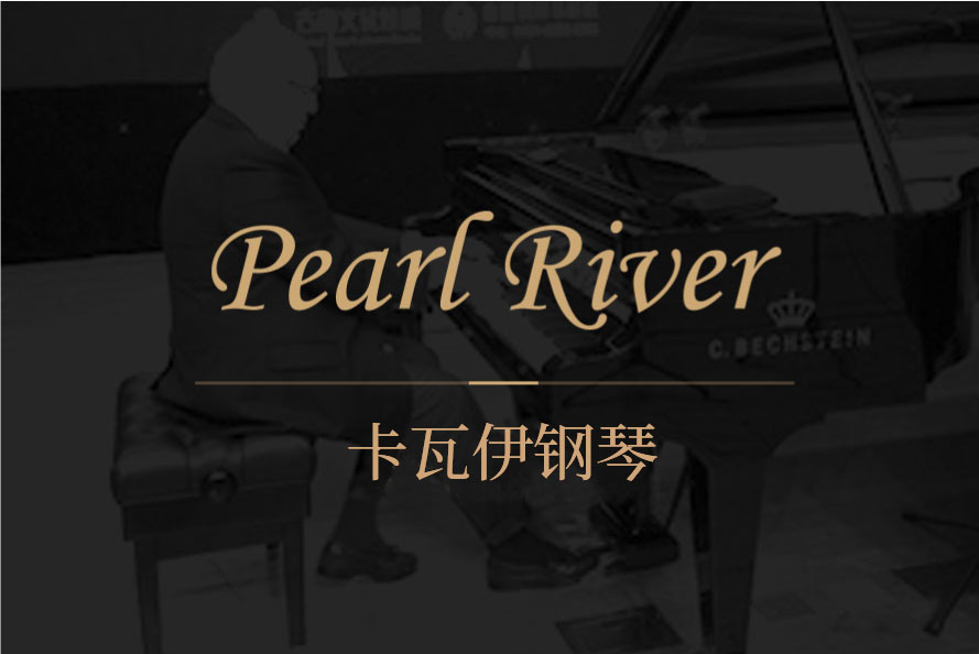 麻豆成人网站在线